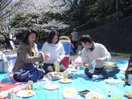 Under blooming cherry trees, three people set up food and drink on a tarp