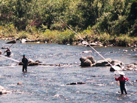 ２人の釣り人が、渓流に立って、長い釣り竿を上げたり下げたりしています。