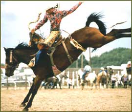 大きく跳ねる茶色の馬に、赤、青、金色のきらびやかな衣装に身を包んだ男性が乗っています。