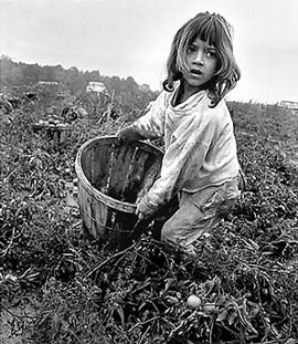 An elementary age  girl working in the fields