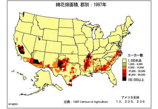 アメリカの主要な農作物：綿花